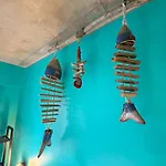 Sardines & شقة *